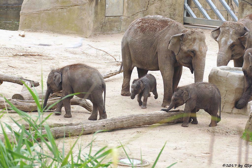 LA MIN KYAW, KITAI, TONG KOON, MOMA, SHU THU ZAR, MARLAR