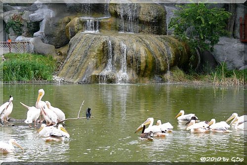 Großer Weiher