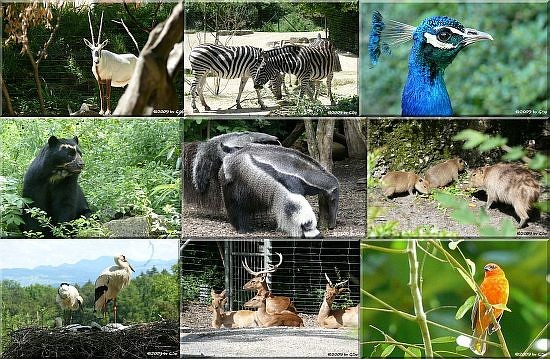 Rundgang Teil 2 - 68 Fotos