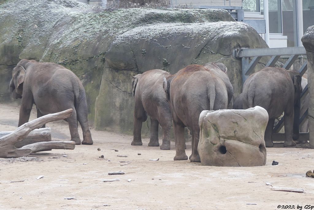KREEBLAMDUAN, TONG KOON, SHU THU ZAR, LAONGDAW, LEEV MA RIE, MARLAR