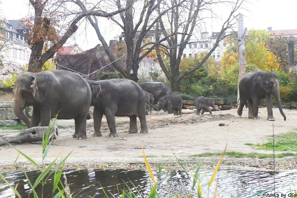 KEWA, PANTHA, BẢO NGỌC, THUZA, AKITO, SAVANI, RANI