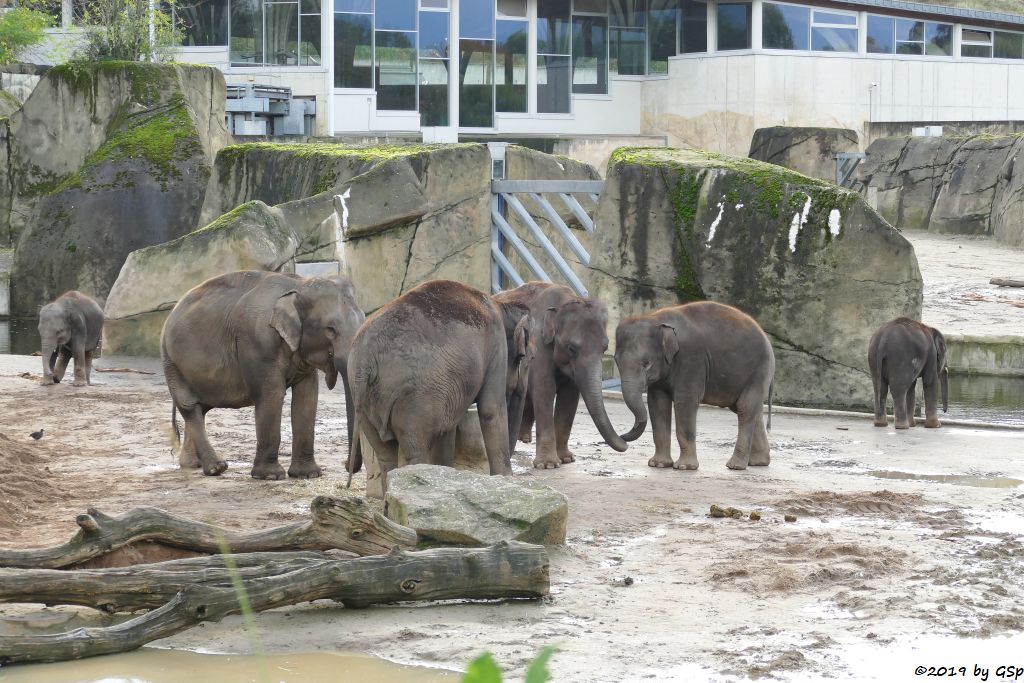 KITAI, KREEBLAMDUAN, LAONGDAW, MARLAR, BINDI, MOMA