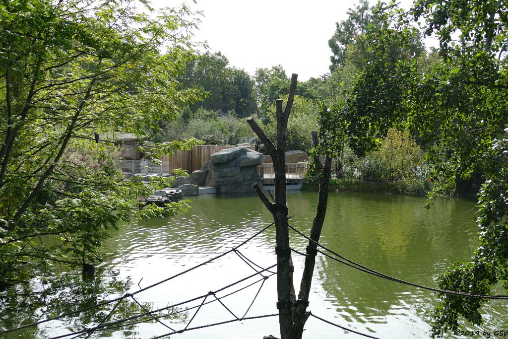 Großer Weiher, im Hintergrund die neue Pinguin-Anlage