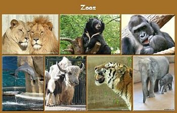 Zoo