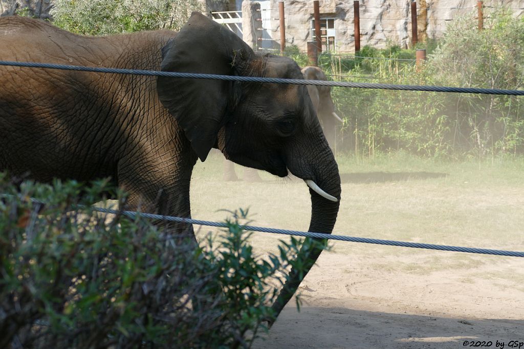 KARIBA