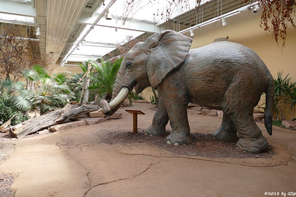 Erlebniswelt im Elefantenhaus