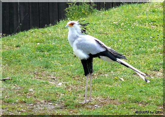 Sekretär