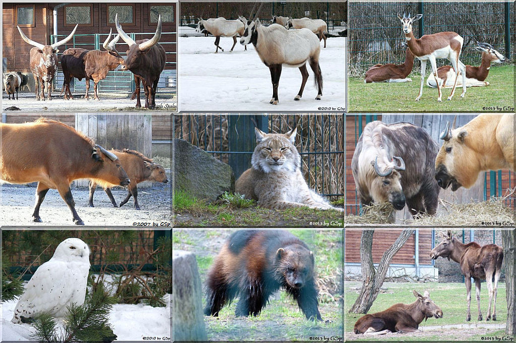 Rundgang Teil 3 - 107 Fotos