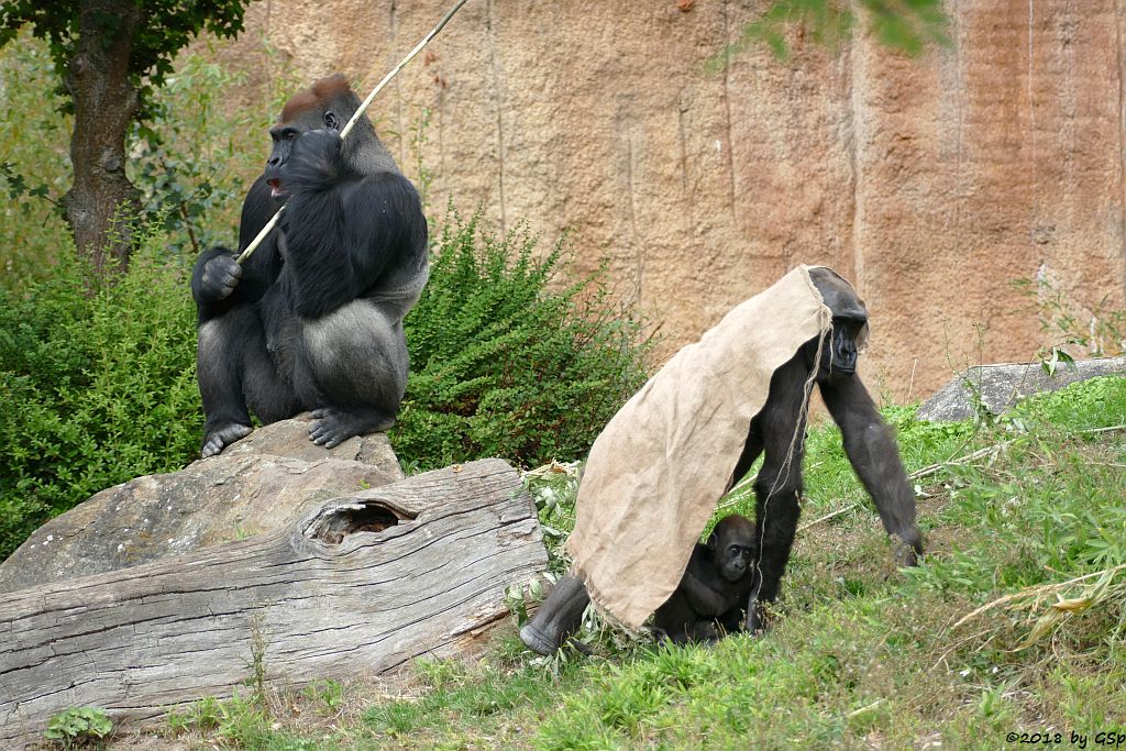 ABEEKU und KUMILI mit Sohn  KIO