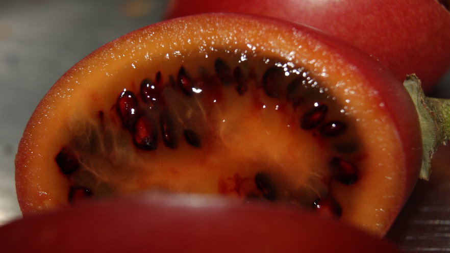 Tamarillo im Querschnitt,Früchte,Frutas,Fruit,Martins-Kulinarium,Carvoeiro,Algarve,Portugal