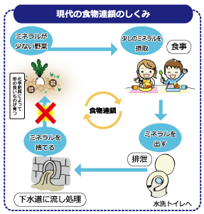 現代は排泄したものを土に戻さない為 どんどんミネラルは奪われ土が痩せてきています なので、普通に摂取出来ていたものが摂れずミネラル不足に