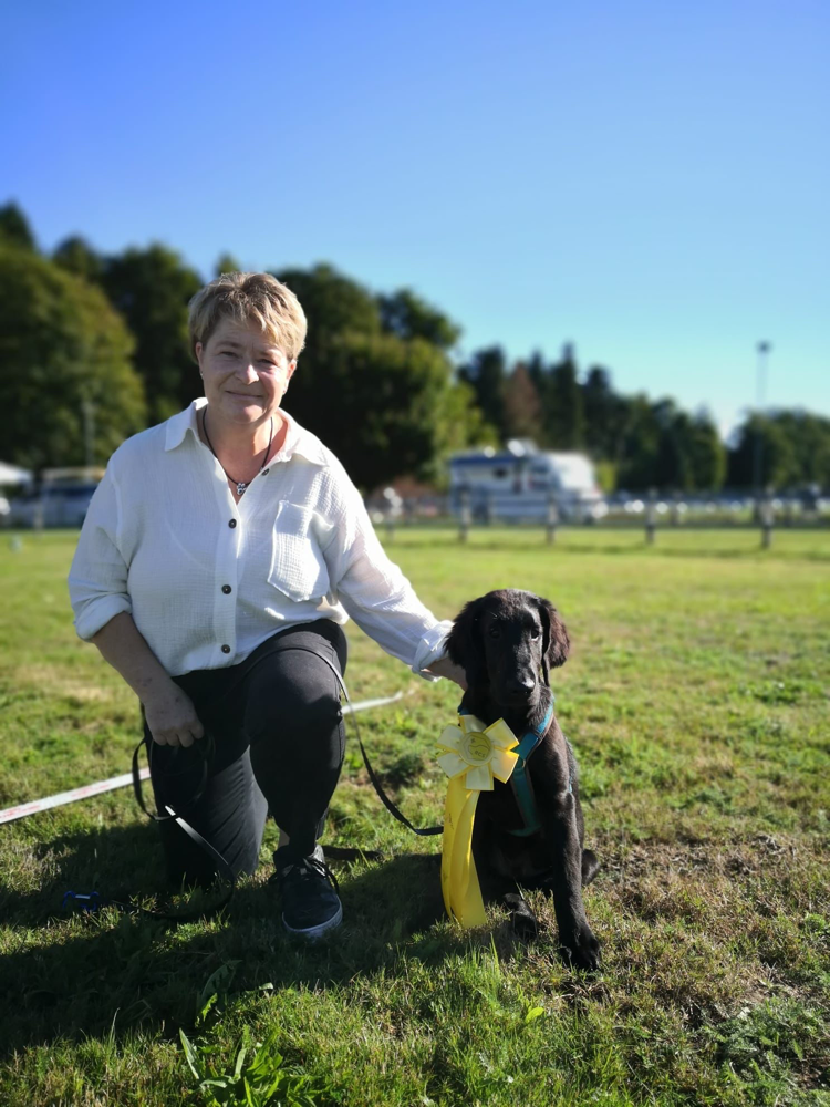 Retriever Club Show Lotzwil Bravo Daniela & Enzo 👏🏼  (Sanibelbreeze Jackpot with Enzo) wurde zum 1.,x ausgestellt und erreichte in der Puppy Klasse den tollen 3. Platz 