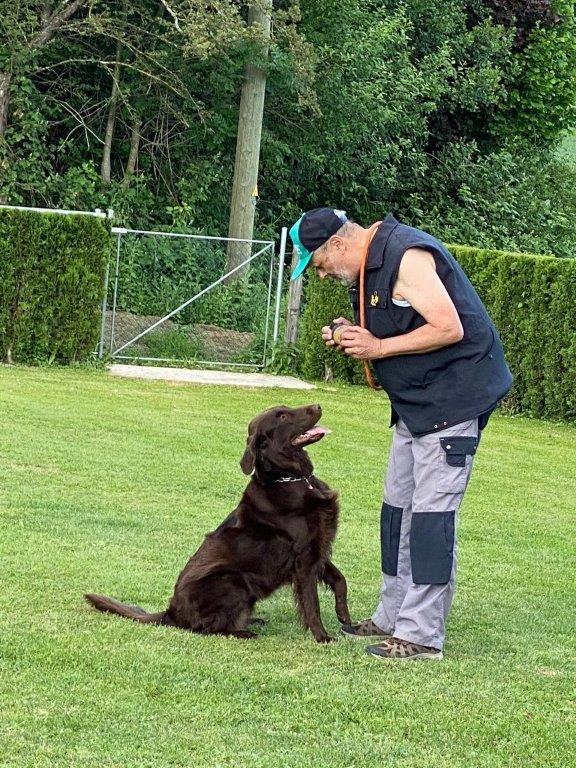 Stella und Heinz im Dummytraining 