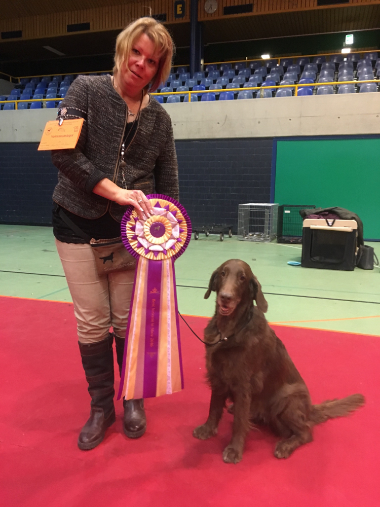 Best Veteran in Show 2016