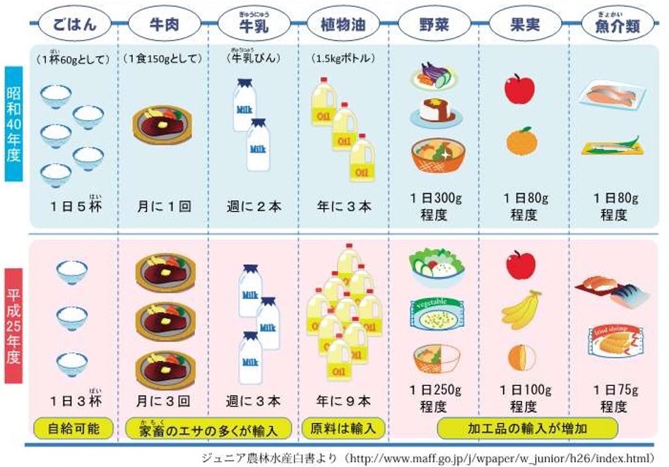 食べると危険な油の見分け方4か条その１　　　　　　　　　　　食べない、買わない、作らない遺伝子組替オイル