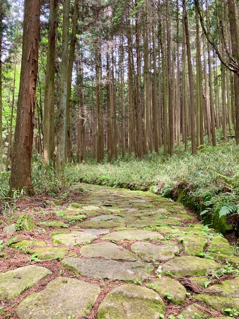 記憶にのこる「中山道」 石畳が美しい「琵琶峠」