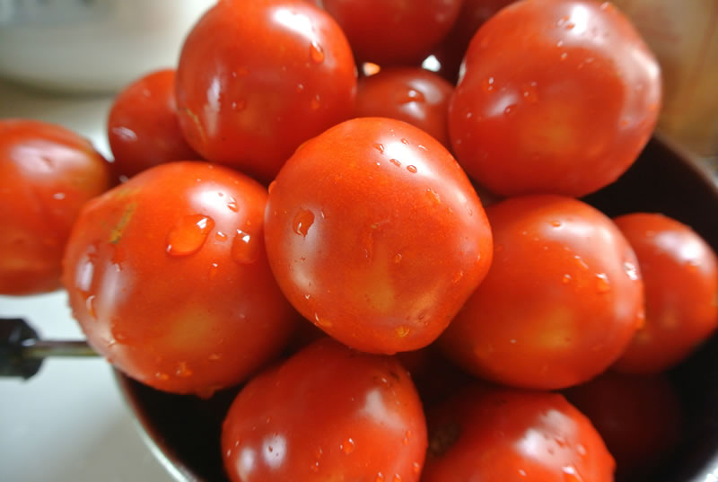 クッキングトマト　加工トマト　調理用トマト