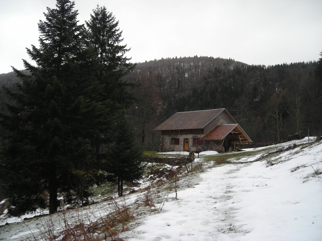 la ferme du gazon vert