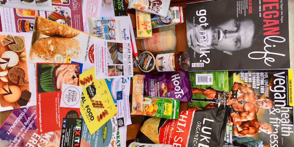 all the cool Things at the Leicester Vegan Festival