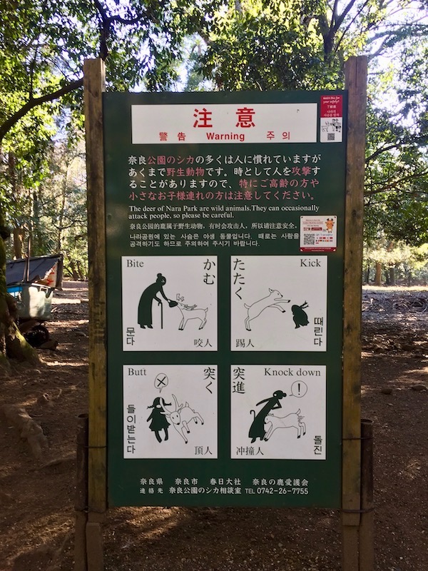 nara park guidelines