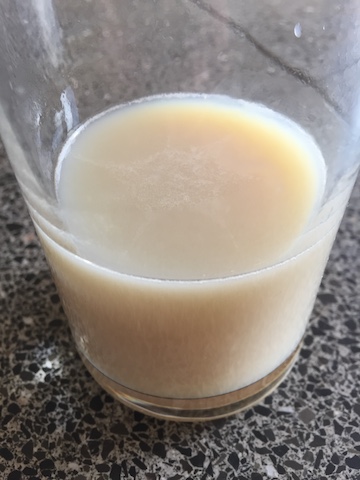 Glass of oat milk