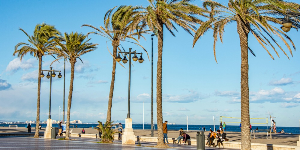 Top Things to See and Do in Valencia