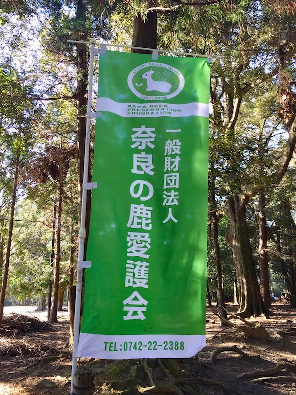 nara deer reservation foundation