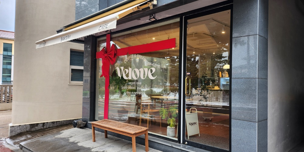 Velove: The Best Vegan Cafe in Jeju