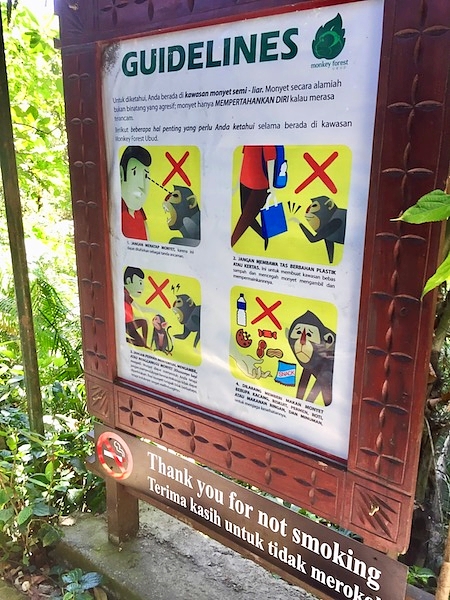 monkey forest rules