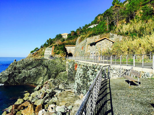 Cinque Terre walkway italy