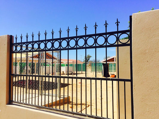 dog shelter rocky point mexico