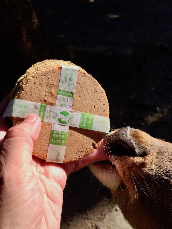 deer licking deer cracker