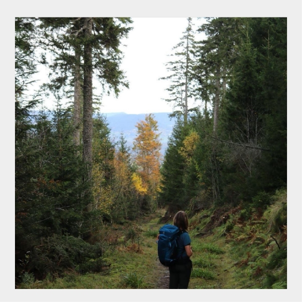 Wandelen, adem en ontspanning