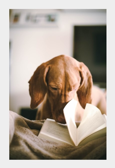 Hoe lees jij en hoe denk je dat jouw lezers lezen?