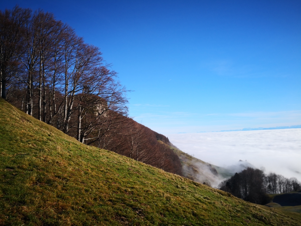 Herrliches Jura Winterwanderwetter