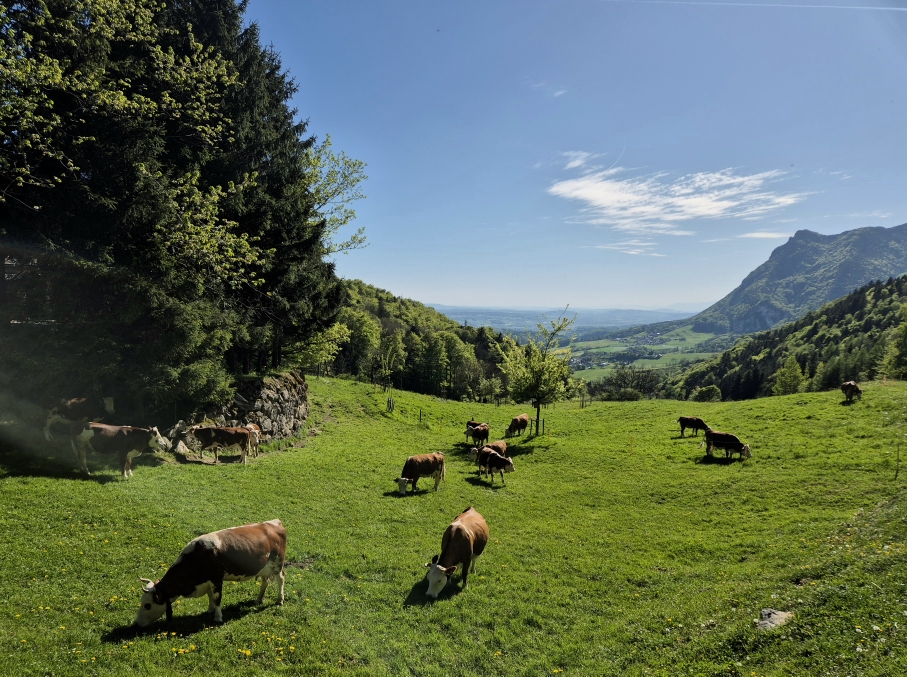 Wandern Jura So