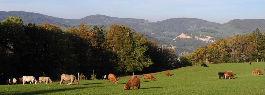 Wandern Jura