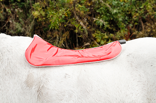 Pressure testing the saddle with the Port Lewis Impression Pad.