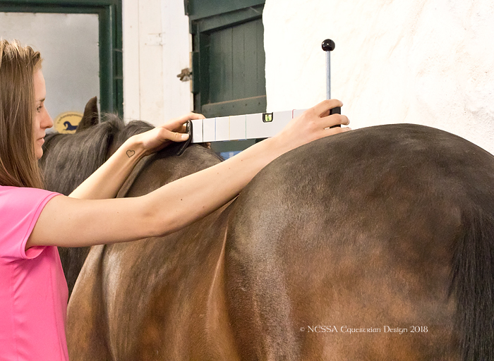 Saddle fitting