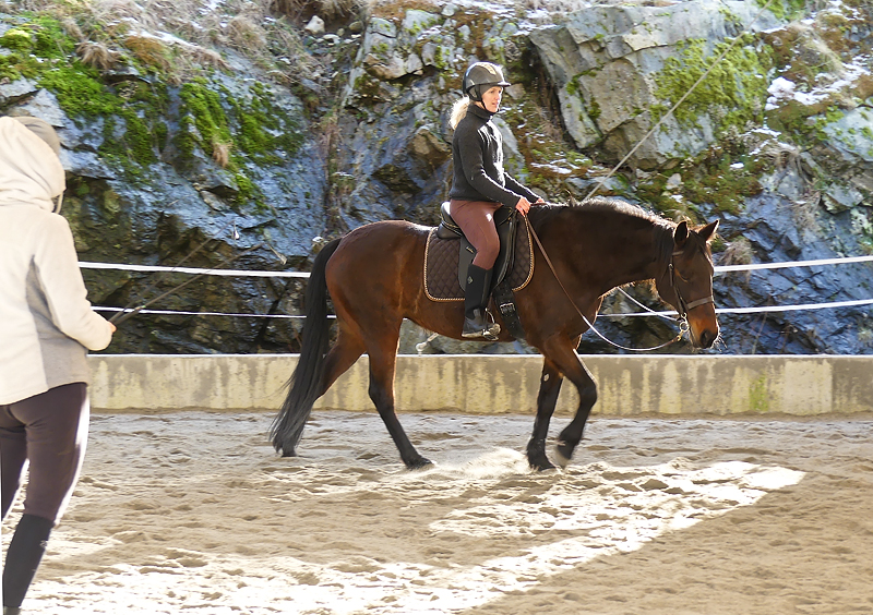 Rehabilitering av hest - under trening etter Klassiske prinsipper