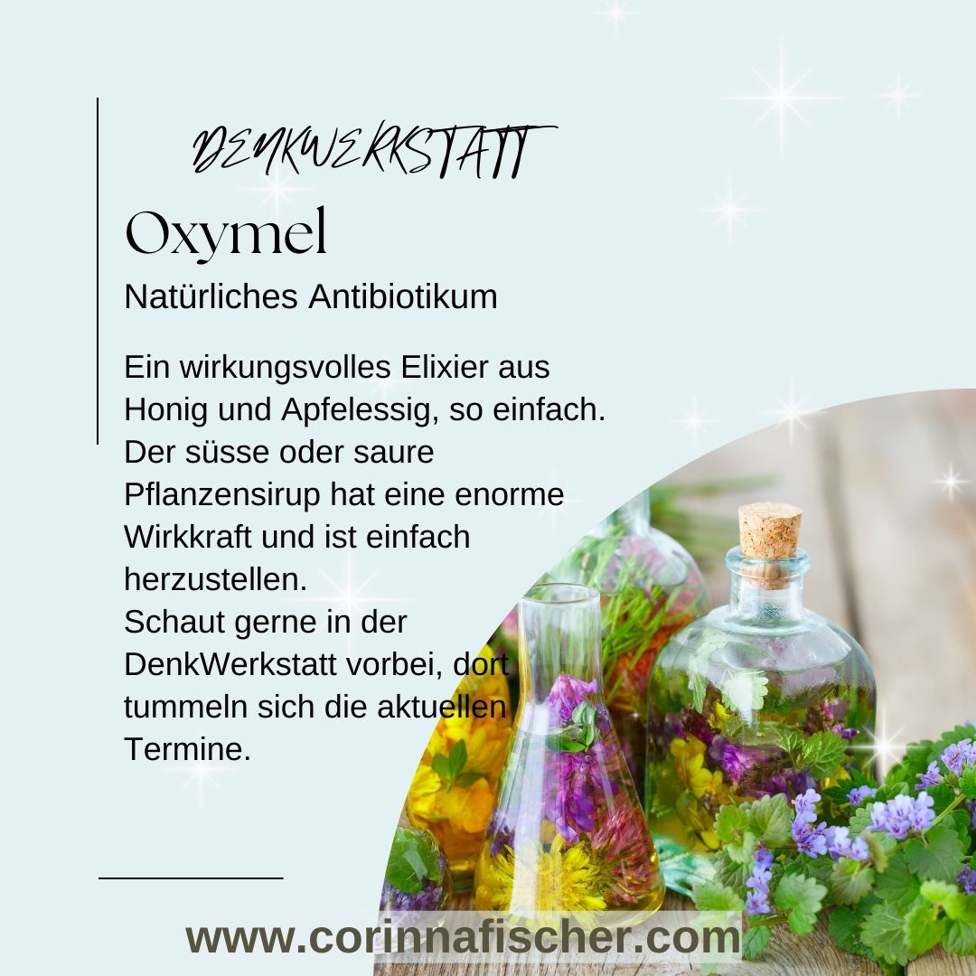 Oxymel - Der Heilsirup