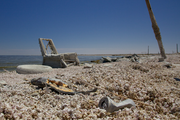 Salton Sea Beach