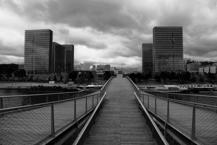 Bibliothèque Nationale de France Site François-Mitterrand, by Dominique Perrault, seen from the Passerelle Simone-de-Beauvoir, by Dietmar Feichtinger. Paris, France. (2009)