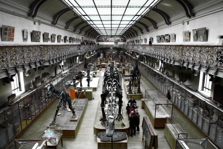 Galerie de Paléontologie, Jardin des Plantes, Paris, France. (2009)