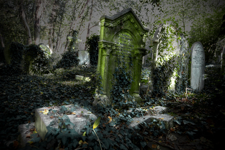 Sacred To The Memory, Highgate Cemetery Park, East Cemetery, London. (2011)