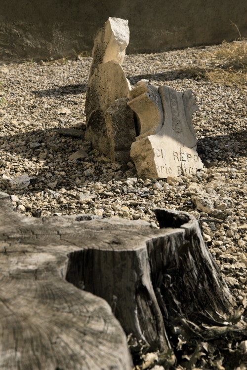 ...ici repose..., Cimetière de Salettes, Cahuzac-sur-Vère, Midi-Pyrénées, France. (2010)