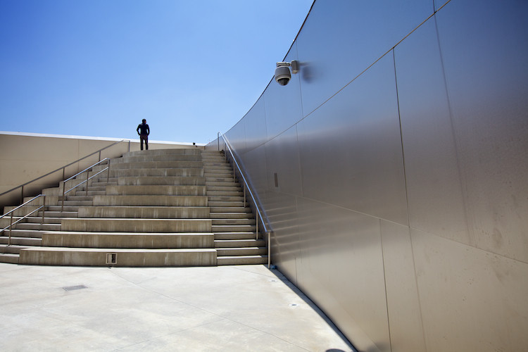 The Walt Disney Concert Hall (detail), by Frank Gehry, Los Angeles, CA, USA. (2013)