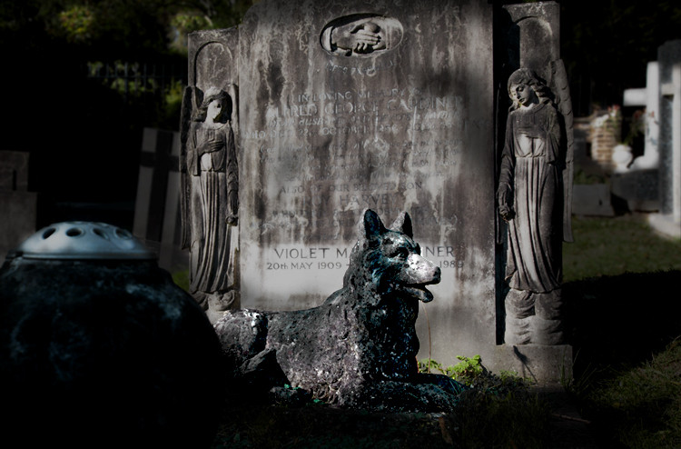 Devoted, Highgate Cemetery Park, East Cemetery, London. (2011)