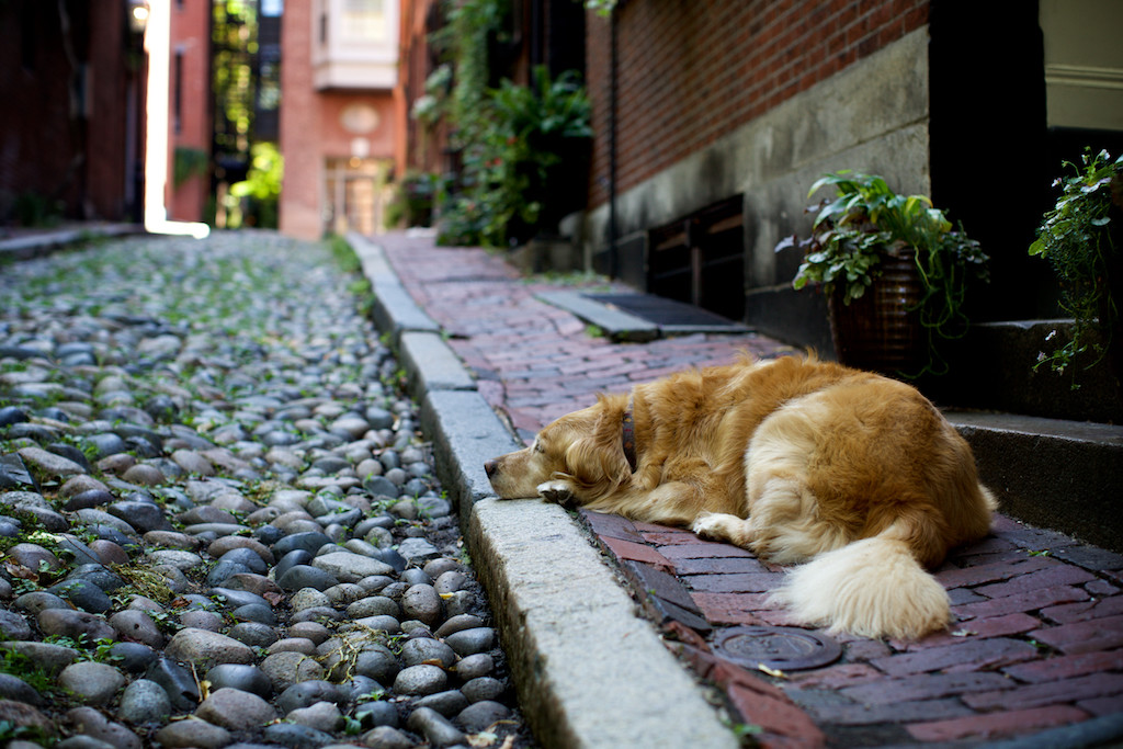 Acorn Street, Beacon Hill, Boston, MA