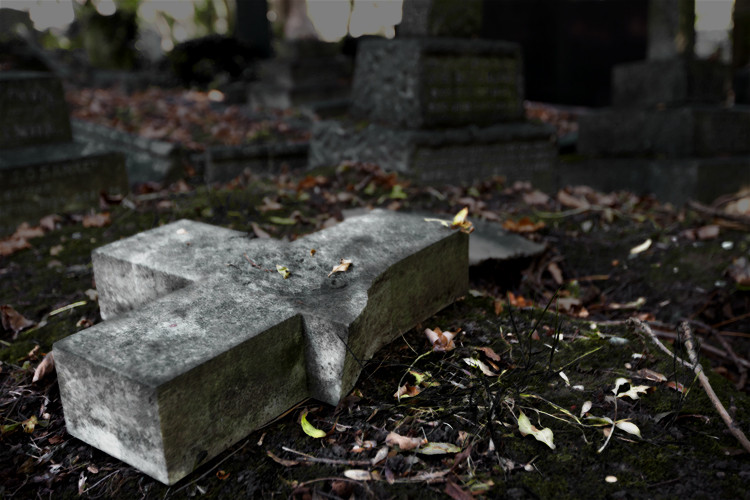 Erosion, Highgate Cemetery Park, East Cemetery, London. (2011)